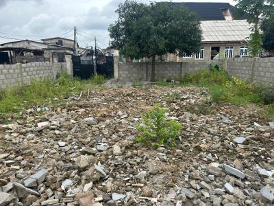 Half Plot of Land, Haruna, Ogba, Ikeja, Lagos, Land for Sale