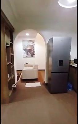 a Standard Fully Furnished and Serviced 1 Bedroom Flat, Asokoro District, Abuja, Flat / Apartment for Rent
