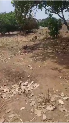 1,800sqm Jv Land at Dape, Dape, Abuja, Land Joint Venture