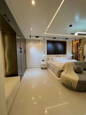 Luxurious Studio Penthouse with Bathub, Admiralty, Lekki Phase 1, Lekki, Lagos, Self Contain (single Rooms) Short Let