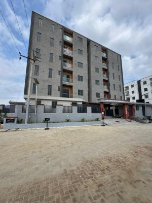 Affordable 2 Bedroom Apartment with a Swimming Pool,gym, Elevator, Ikate, Lekki, Lagos, Flat / Apartment for Sale