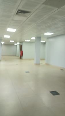 420 Sqms Fully Serviced Office, Ikeja Gra, Ikeja Gra, Ikeja, Lagos, Office Space for Rent
