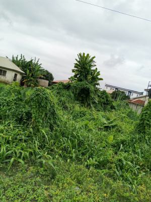 2 Plots of Land, Ira Nla Ajah, Ajah, Lagos, Residential Land for Sale