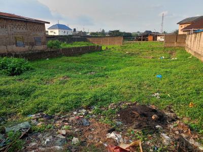 a Plot of Land with Survey and Purchase Receipt, Alaagba, Iyana Odo, Iyana Ipaja, Ipaja, Lagos, Land for Sale