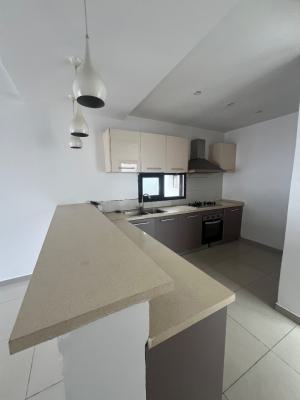 Well Maintained, Tastefully Finished Two Bedroom Apartment, Osapa London, Osapa, Lekki, Lagos, Flat / Apartment for Rent