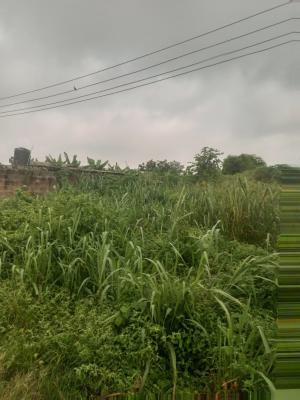 Pig Farmland, Gberigbe, Ikorodu, Lagos, Commercial Land for Sale