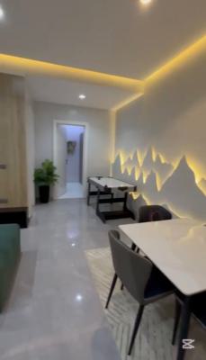 Fully Furnished 2 Bedroom Apartment, Ikate Elegushi, Lekki, Lagos, Flat / Apartment for Sale