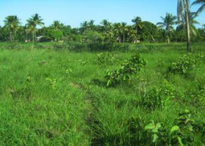 Prime 1,600sqm Plot -- Abijo, Abijo, Gra - Lekki Phase 1, Abijo, Lekki, Lagos, Residential Land for Sale
