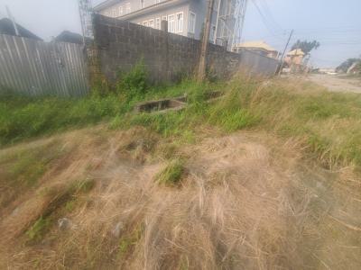 a Plot of Land, University View Estate, Ajah, Lagos, Mixed-use Land for Sale