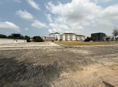 Premium 12000sqm Corner-piece Land Along Admiralty Way, Lekki Phase 1, Lekki Phase 1, Lekki, Lagos, Mixed-use Land for Sale