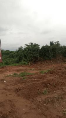 Bare Vigrin Land in a Serene Area, Christopher Busstop, Mowe Town, Ogun, Mixed-use Land for Sale
