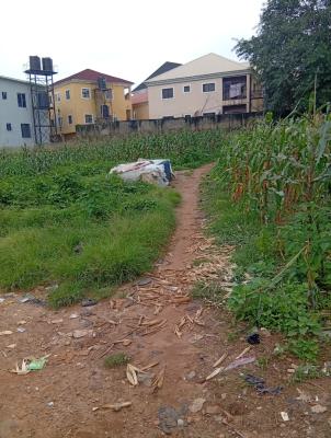 1000sqm Katampe Main Behind Bon Hotel, Katampe Behind Bon Hotel, Katampe, Abuja, Residential Land for Sale