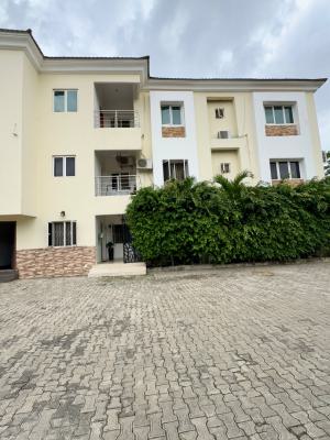 Standard 3 - Bedroom Flat with Bq, Jabi, Jabi, Abuja, Flat / Apartment for Rent