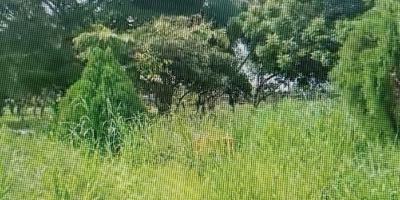 Prime Residential Land with Potential in Osbourne 11 on Offer, Osborne, Ikoyi, Lagos, Land for Sale
