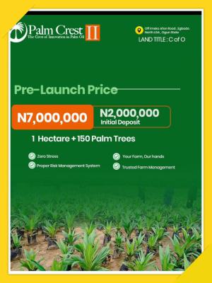 Hectares of Farmland for Oil Plantation Farming, Ogun State, Imeko Afon, Ogun, Mixed-use Land for Sale