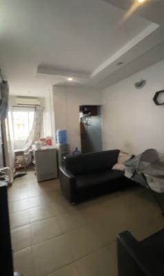 a Standard, Exquisite Mini Flat, Obanikoro, Shomolu, Lagos, Mini Flat (room and Parlour) for Sale
