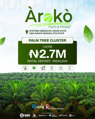 Palm Tree Plantation ( 1 Acre), Palm Tree Plantation Is Situated @ Aiyetoro Abeokuta, Abeokuta North, Ogun, Commercial Land for Sale