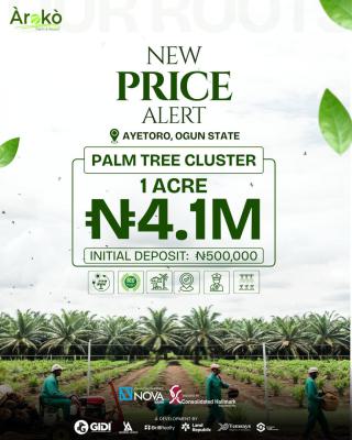 Palm Tree Plantation 1 Acre, Aiyetoro, Abeokuta North, Ogun, Commercial Land for Sale