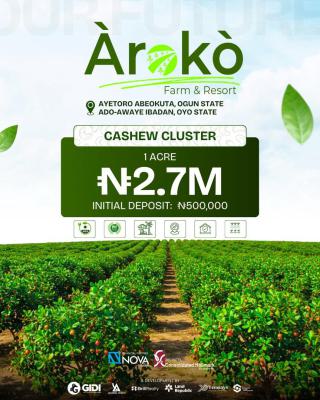 Cashews Farm( 1 Acre), Cashews Farm Is Suited @aiyetoro Abeokuta, Abeokuta North, Ogun, Commercial Land for Sale