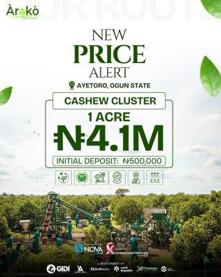 Cashews Farm 1 Acre, Aiyetoro, Abeokuta North, Ogun, Commercial Land for Sale