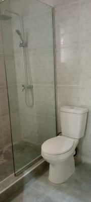 2 Bed Apartment with 24hrs Light, Chevron Drive, Lekki, Lagos, Flat / Apartment for Rent