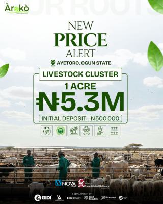 Livestock Cluster, Aiyetoro, Abeokuta North, Ogun, Commercial Land for Sale
