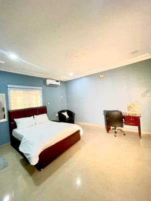 Spacious Self Contain, Kings Park Estate, Galadimawa, Abuja, Flat / Apartment Short Let
