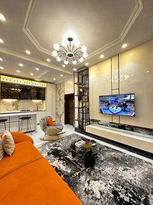 Beautifully Furnished 1bedroom Apartment, Chevron, Lekki, Lagos, Flat / Apartment Short Let