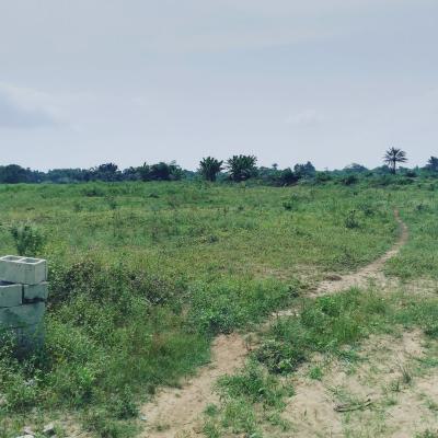 Land, Ogun State Mixed Industrial Smart City, Epe-ijebu, Ijebu East, Ogun, Mixed-use Land for Sale