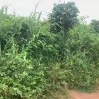 Heritage Business Park Landed Property, Ogun State Mixed Industrial Smart City, Epe, Ijebu Ode, Ogun, Mixed-use Land for Sale