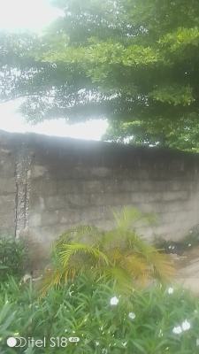 Fenced Well Shaped Land, Banana Island, Ikoyi, Lagos, Land for Rent