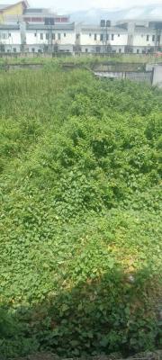 Huge Land on a Major Road, Bishop Oluwole Street, Victoria Island (vi), Lagos, Mixed-use Land for Sale