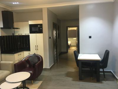Luxury 2 Bedrooms Flat with Pool,lounge, Agbaoku Estate, Opebi, Ikeja, Lagos, Flat / Apartment Short Let