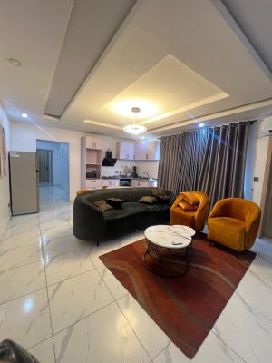 Fully Furnished & Serviced 2 Bedroom Apartment, Ikate, Lekki, Lagos, Flat / Apartment for Rent