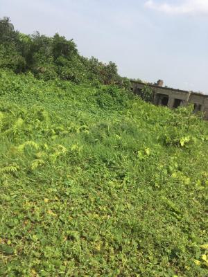 Full Plot of Land in a New Estate, Short Drive From Ojodu Berger, Near Journalist Estate, Arepo, Berger, Arepo, Ogun, Residential Land for Sale