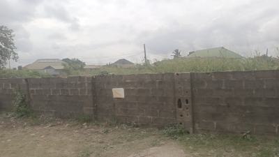 Distress Commercial 2plots Facing Major Road Land, Facing Newly Constructed Offin Main Road, Igbogbo, Ikorodu, Lagos, Mixed-use Land for Sale