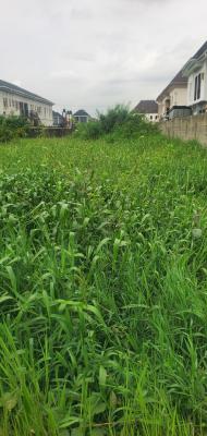 Full Plot of Land at Opic Estate, Opic Estate Lagos, Opic, Isheri North, Lagos, Residential Land for Sale