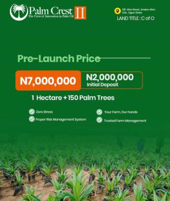 *palm Crest 2 Imeko Afon Local Government, Ogun State,, Imeko Afon Ogun, Imeko Afon, Ogun, Commercial Land for Sale