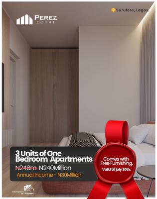 Secure a Luxury Apartment in Perez Court, Tap Into The Booming Short-let & Airbnb Market, Yaba, Lagos, Flat / Apartment for Sale