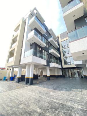 Amazing Luxury 3 Bedroom Apartment with Bq, Lekki Phase 1, Lekki Phase 1, Lekki, Lagos, Flat / Apartment for Rent