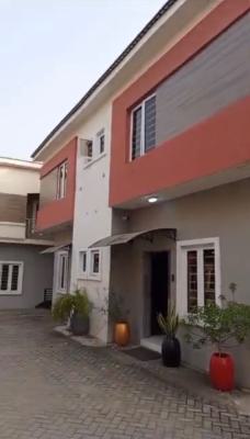 a Standard Fully Furnished Self Servicd 4 Bedroom Detached Duplex, Ajao Estate, Anthony, Maryland, Lagos, Detached Duplex for Rent