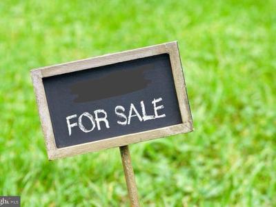 Prime Commercial 15,000 Sqm, Chevron Drive, Lekki, Lagos, Commercial Land for Sale