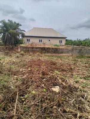 Empty 2plots of Land Together, Off Akesan Igando Lasu Road, Akesan, Alimosho, Lagos, Mixed-use Land for Sale