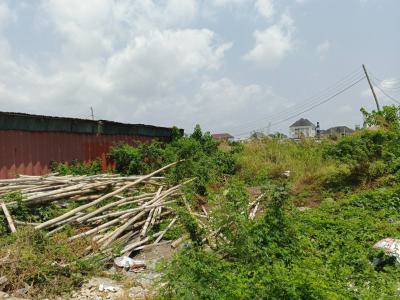 Land Measured 950.958 Square Meter, Eden Gardens Estate Abraham Adesanya, Ajah, Lagos, Residential Land for Sale