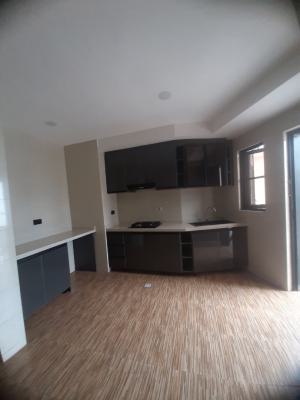 Its a Newly Built and Serviced with 24/7 Power Supply Unfurnished 2 B, Lekki Phase 1, Lekki, Lagos, Flat / Apartment for Rent