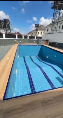 Exquisite 7bed Mansion on 2000sqm with Pool in Highbrow Area, Asokoro, Asokoro District, Abuja, Detached Duplex for Sale