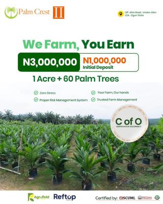 Palm Oil Farm, Palm Crest Phase 2, Imeko Afon, Ogun, Industrial Land for Sale