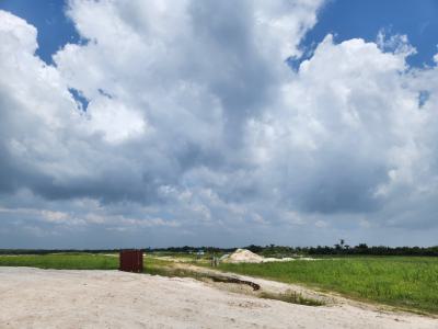 Prime Plots of Land, The Meadows Scheme 1 & 2, Lekki Phase 1, Lekki, Lagos, Land for Sale