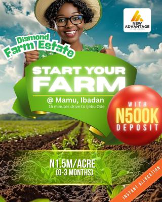 Diamond Farm Land, Ibadan, Oyo, Mixed-use Land for Sale