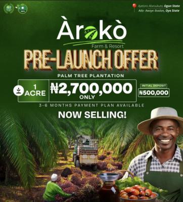 Palm Oil , Cocoa Plantation, Livestock Farm Etc, Abeokuta North, Ogun, Land for Sale